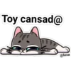 gatito Cute 10
