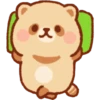 Mapache 16