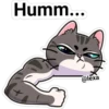 gatito Cute 11