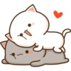 miaus :3 13