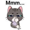 gatito Cute 12