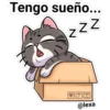 gatito Cute 13