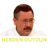 NERDEN DUYDUN