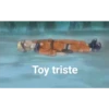 Toy triste