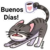gatito Cute 14