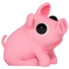 Rosa the pig 19