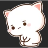 miaus :3 15