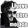 ★AMN Llueve sobre mojado