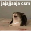 jajaja 20