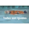 Todas son iguales