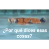 ¿Por qué dices esas
cosas?