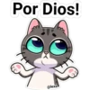 gatito Cute 16