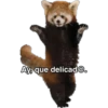 Animales 23
