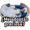 EMe adoptas
preciosa?