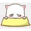 miaus :3 16