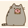 miaus :3 17