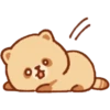Mapache 22
