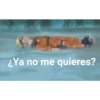 ¿Ya no me quieres?
