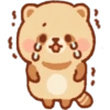 Mapache 25