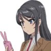 Seishun Buta Yarou Wa Bunny Girl Senpai No Yume Wo Minai 12