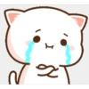 miaus :3 23