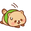 Mapache 28