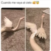 jajaja 28