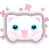 🌈😺WhiteKitty😺🌼 26