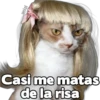 yeisi
Casi me matas
de la risa