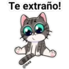 gatito Cute 19