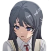 Seishun Buta Yarou Wa Bunny Girl Senpai No Yume Wo Minai 16