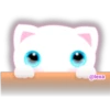 🌈😺WhiteKitty😺🌼 29