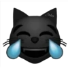 Gato Riéndose