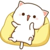 miaus :3 27