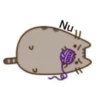 miaus :3 29