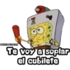 Bob Esponja 30