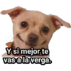 Y si mejor te
vas a la verga.