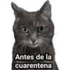 Antes de la
cuarentena
