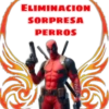 《❤Grupo adm dead pool》 6