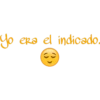 Yo
era el indicado.