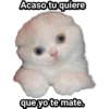 Acaso tu quiere
que yo te mate.