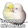 TE QUIERO Y
MÁS A MI LADO