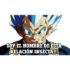 SOY EL HOMBRE DE ESTA
RELACIÓN INSECTA!!!