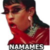 RAM Handy NAMAMES