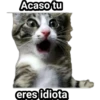 Acaso tu
eres idiota