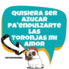 Noviazgos Chakalones 10