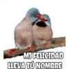 MI FELICIDAD
LLEVA TÚ NOMBRE