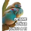 DEJAME
SOÑAR
JUNTO A TI