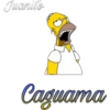 Homero Simpson con frases 13