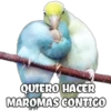 QUIERO HACER
MAROMAS CONTIGO
